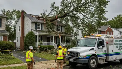 Emergency tree removal crew clearing storm-damaged trees in Phillipsburg near Easton, PA homes